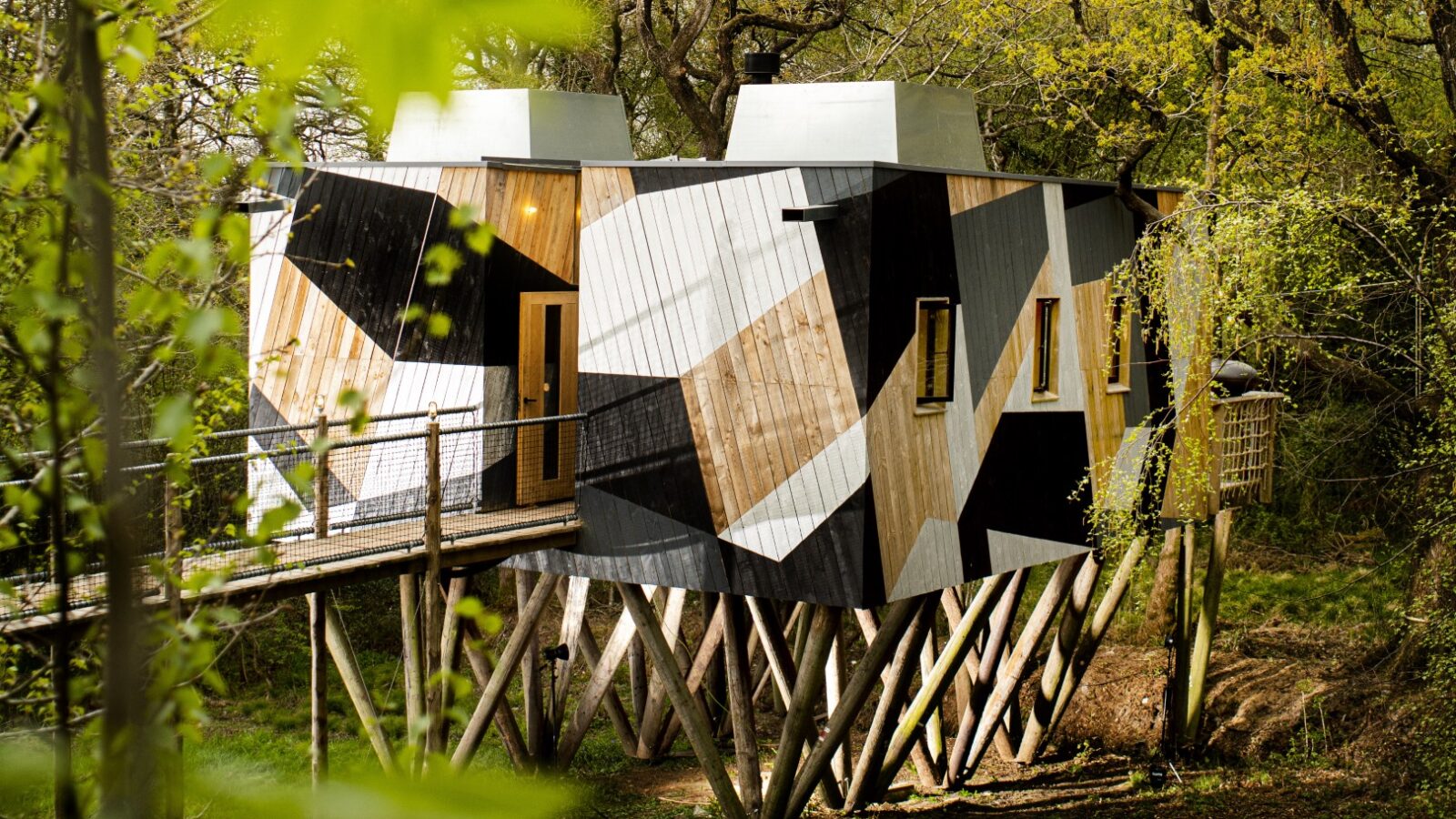 Dazzle Treehouse