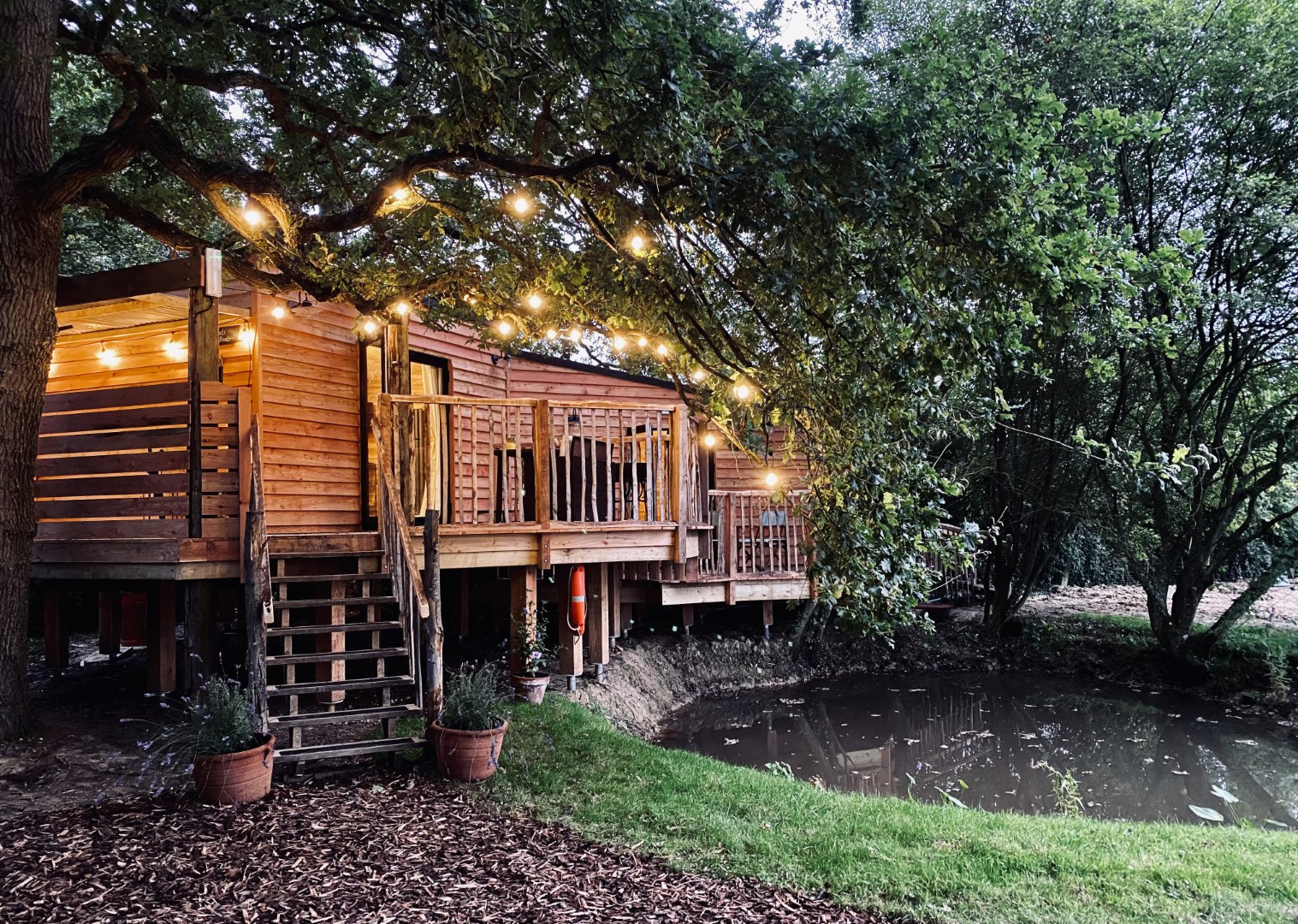 A cosy wooden treehouse with string lights, nestled among large trees. The structure has a deck with railings, stairs leading to the ground, and potted plants at the base. Situated next to a small pond and near dog-friendly beaches, it creates a serene and inviting atmosphere. 