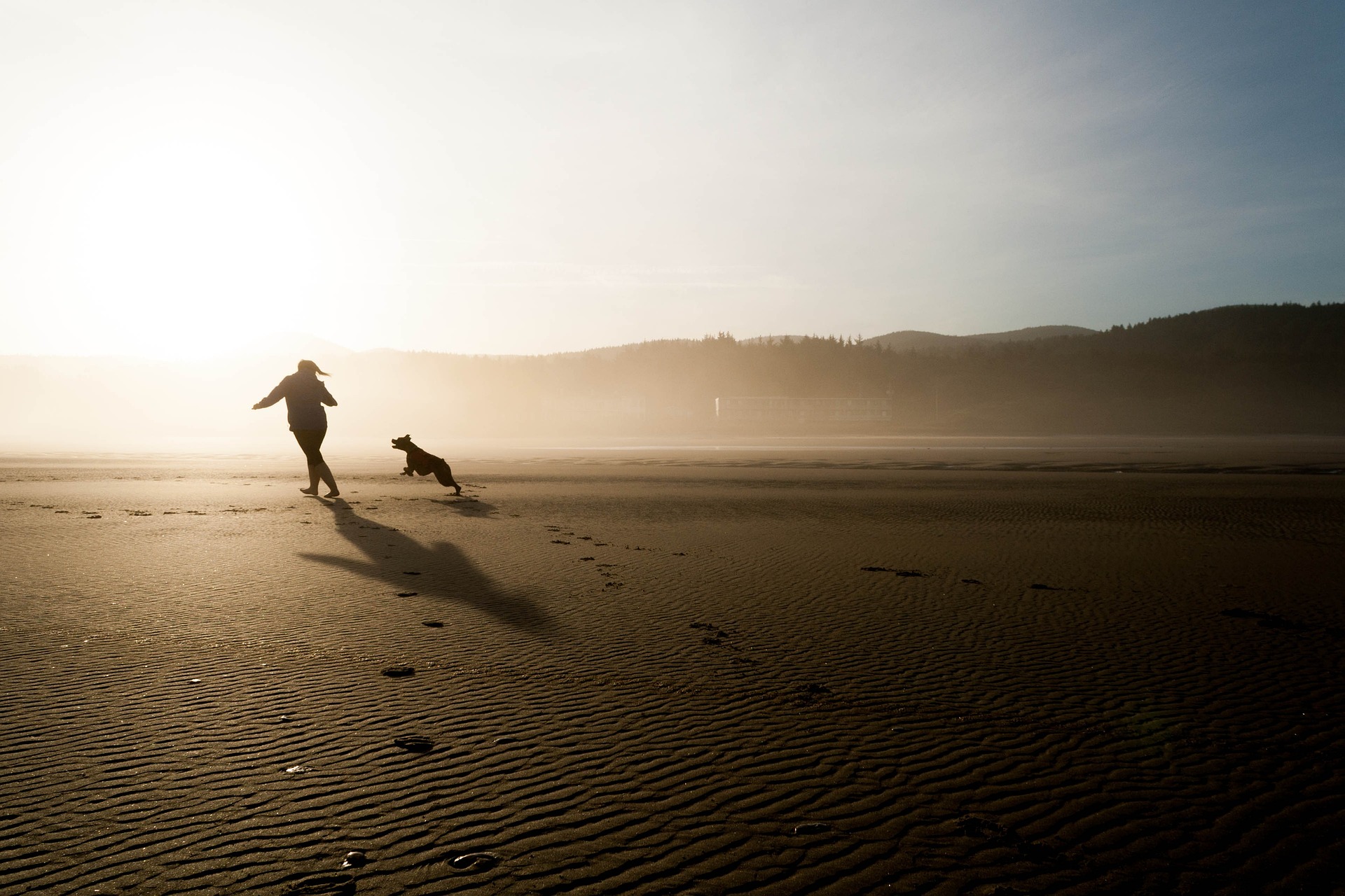 The Best Dog Friendly Beaches thumbnail