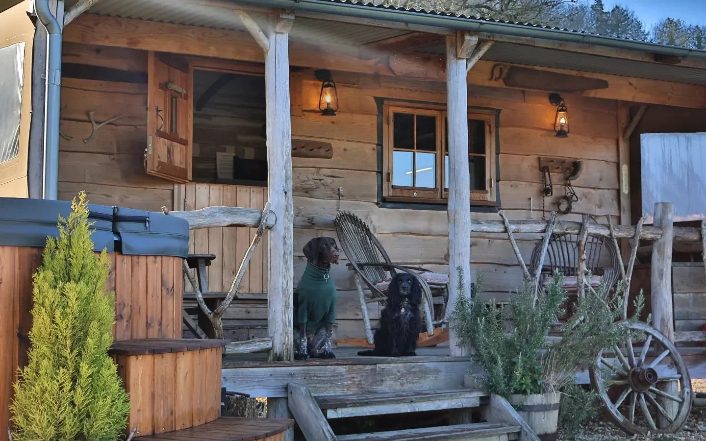 A rustic wooden cabin porch with two dogs sitting on it greets visitors to Loose Reins Ranch. The cabin features a small lantern, a couple of chairs, and potted plants. Steps lead to a hot tub surrounded by greenery, and a wooden wagon wheel leans against the cabin.