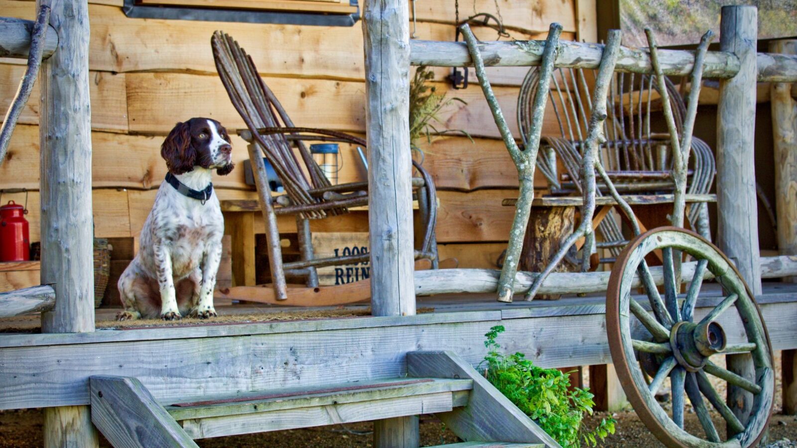 Loose Reins Ranch Cabins