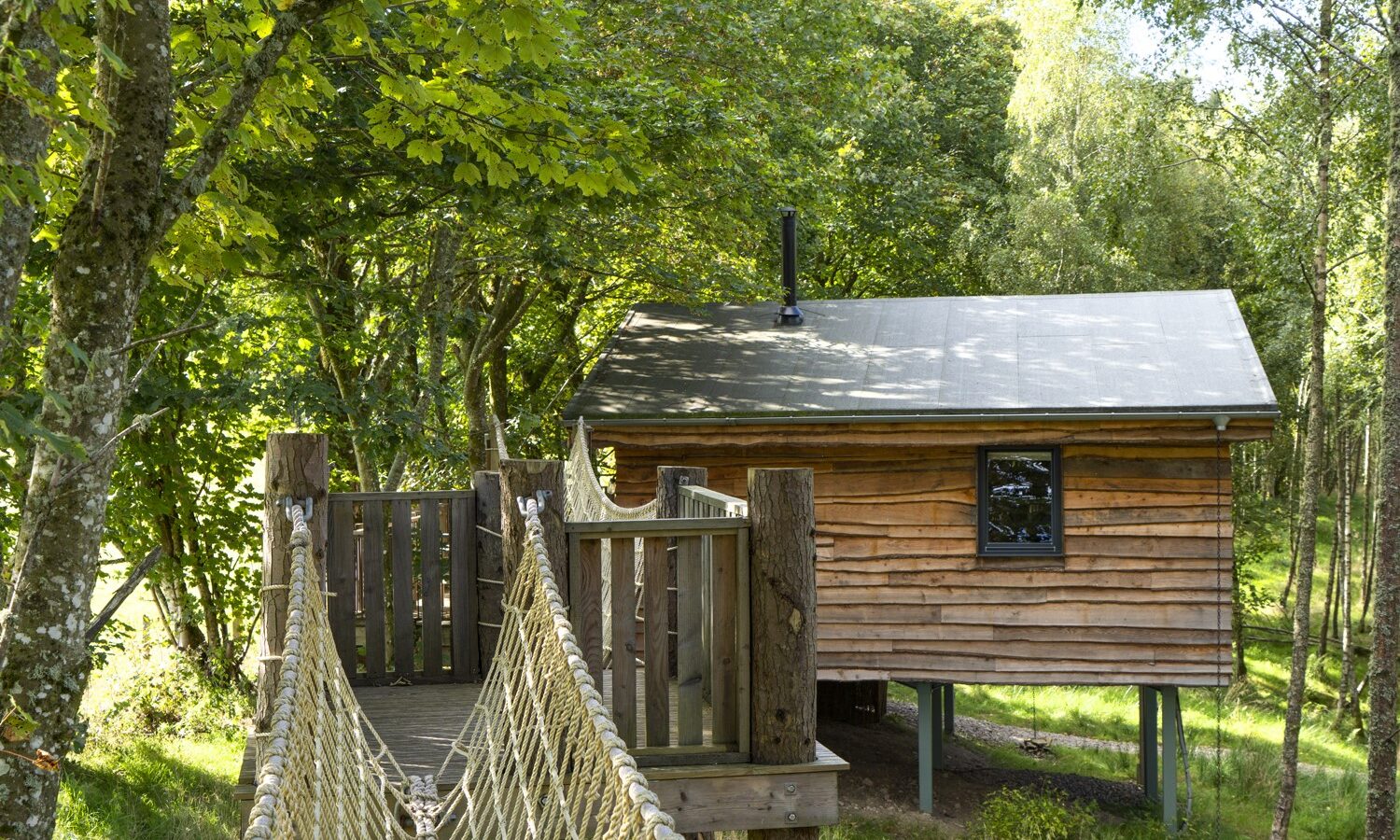 Flycatcher Treehouse