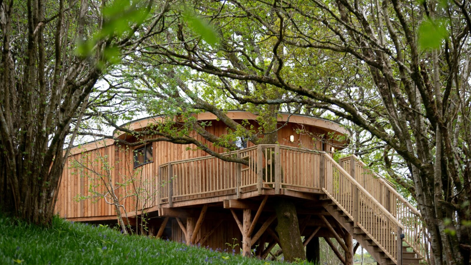 Wild Welsh Treehouses