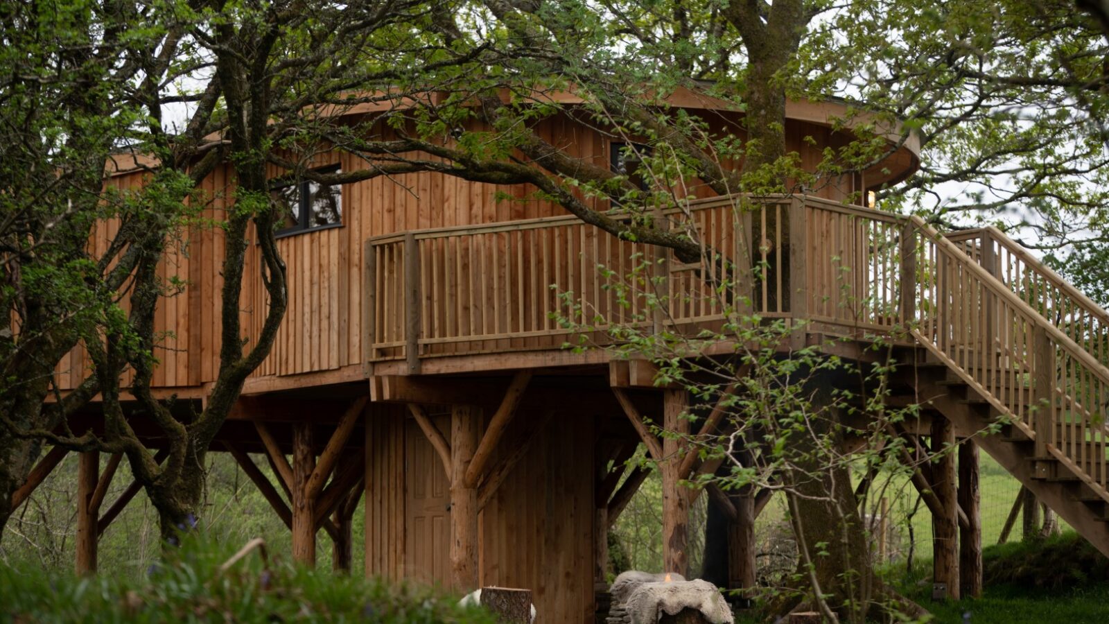 Wild Welsh Treehouses