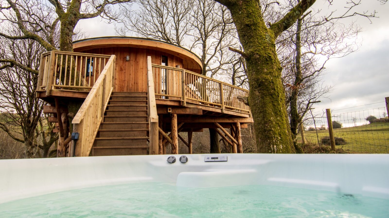 Wild Welsh Treehouses