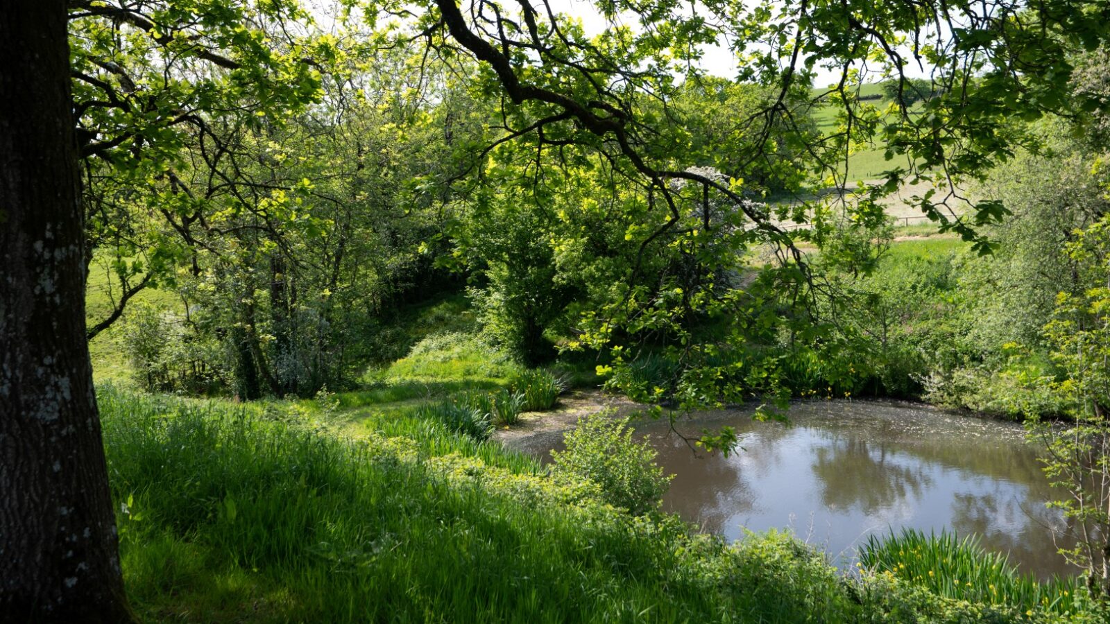 Pond View Lodges