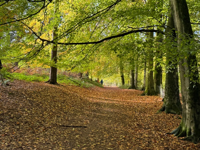 Rowan Tree Retreat