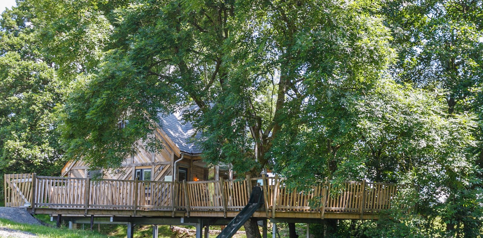 A treehouse nestled among lush green trees on a sunny day. The treehouse has a wooden deck with railings and sits elevated on stilts. A small path leads to the entrance, and sunlight filters through the leaves, creating dappled shadows fit for Prince Llywelyn's hidden retreat.