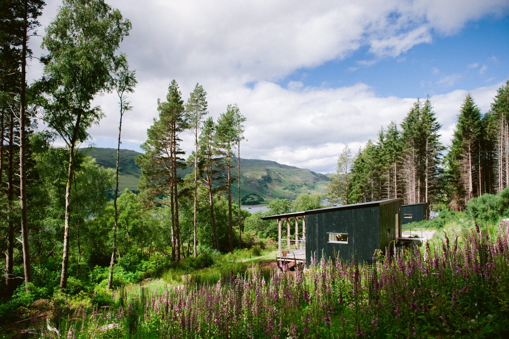 A small, modern cabin sits among tall trees and lush greenery in a scenic, mountainous landscape. Purple wildflowers dot the foreground, while distant hills under a partly cloudy sky form the background. The scene exudes tranquility and natural beauty, making it an idyllic home within nature's page.