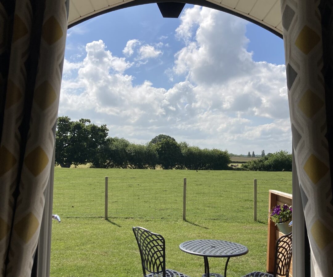 A view of a lush green field at Abbey Farm, bordered by a fence, seen through an arched doorway with patterned curtains. A black metal table and chairs on the glamping patio are surrounded by potted flowers on the railing. The sky is bright blue with fluffy white clouds.