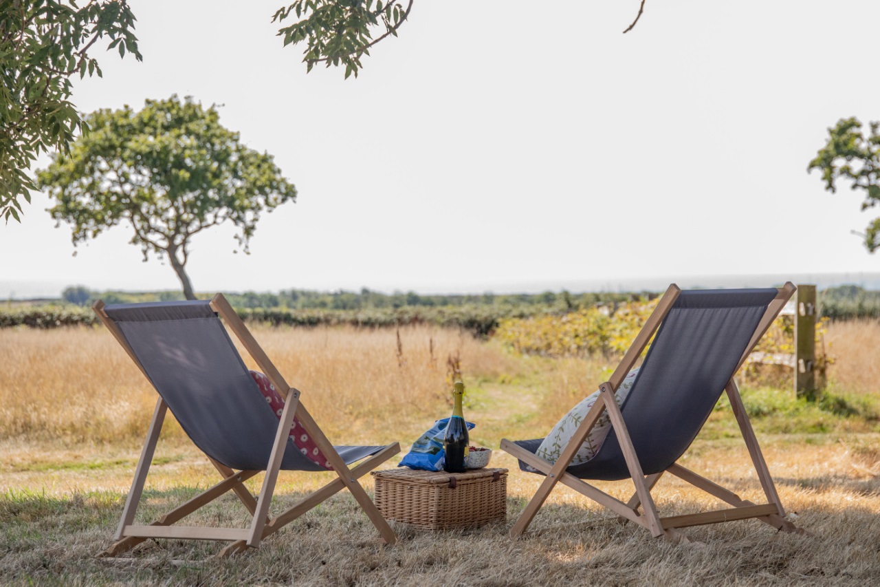 Two wooden deck chairs face a scenic, open field with distant trees under a clear sky at Barnhorn. A wicker picnic basket sits between the chairs on dry grass, with a small potted plant atop it. The tranquil setting suggests a relaxing glamping experience.