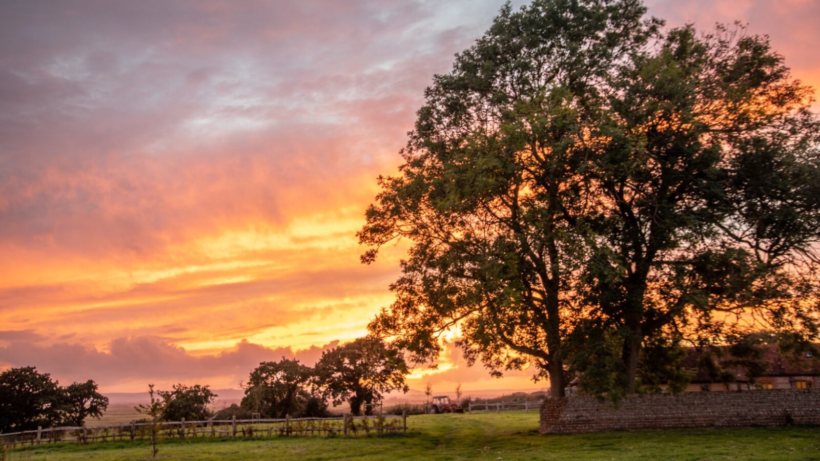 A serene countryside scene at sunset, featuring a large tree silhouetted against a vibrant sky painted with shades of orange, pink, and purple. In the background, other trees and a distant Barnhorn can be seen, perfect for glamping with lush green grass in the foreground.