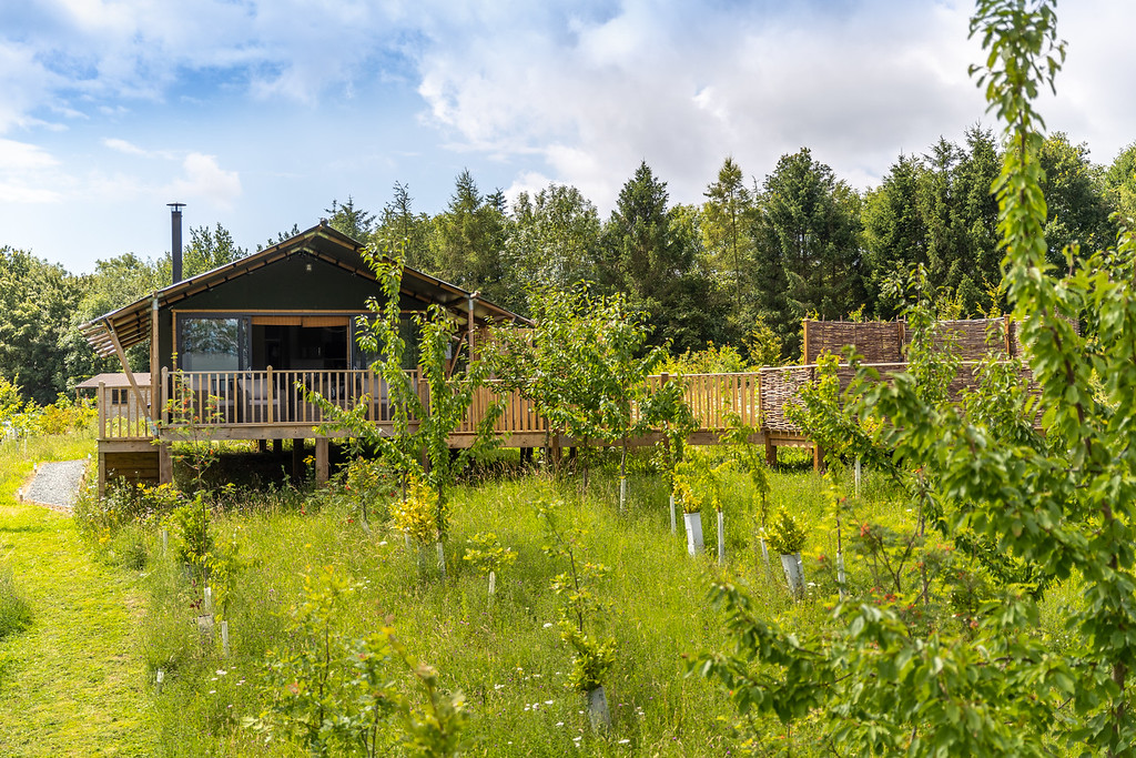 Birdholme Glamping