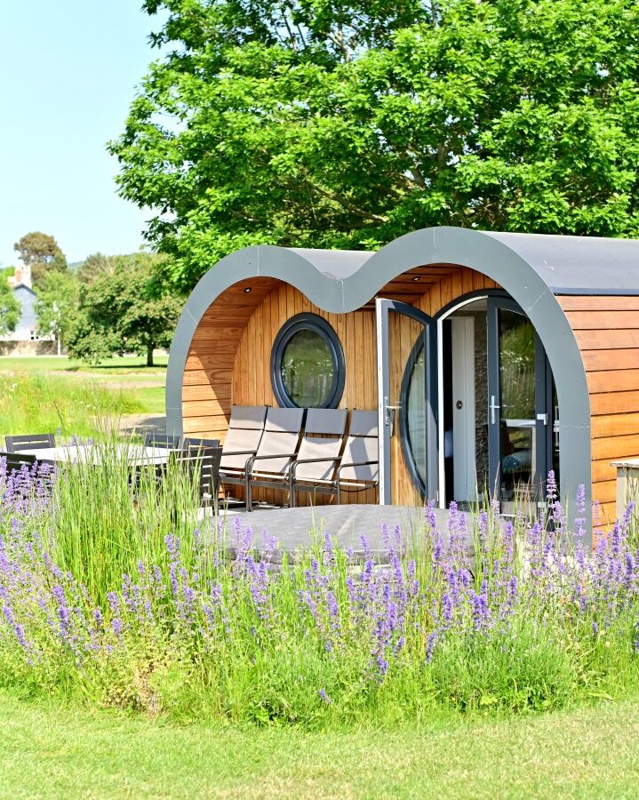 An eco-friendly wooden cabin with a rounded modern design features a curved roof and large glass doors, surrounded by a lush green lawn and vibrant purple flowers in the foreground. In the background, tall leafy trees provide shade and add to the tranquil setting.