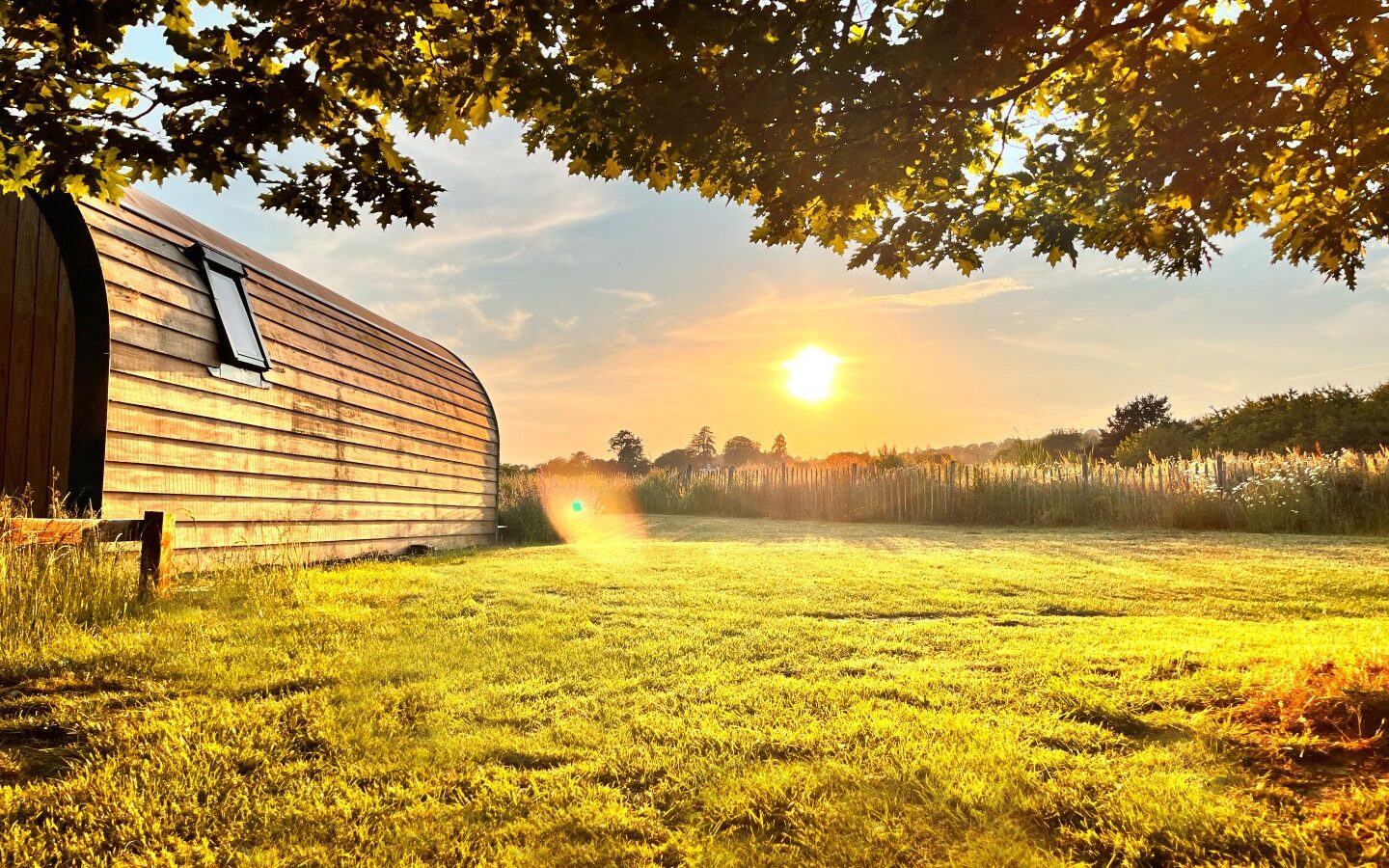 A serene scene of a grassy field at sunset, with sunlight casting a golden hue across the landscape. An eco cabin with a rustic, arched wooden design and a window is on the left, partially shaded by the overhanging branches of a tree. The sky is a blend of warm colors.