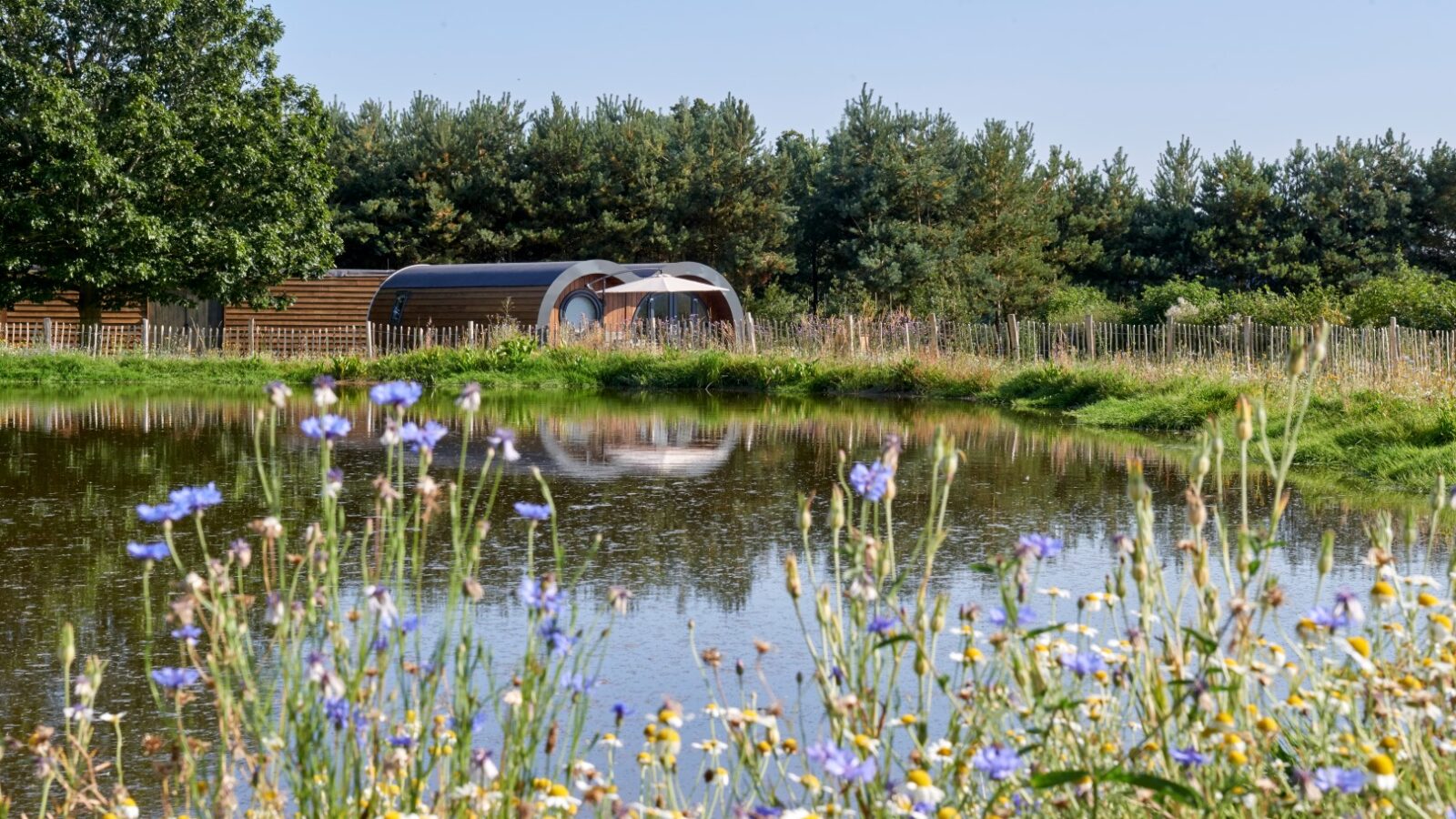 A tranquil pond surrounded by wildflowers in the foreground with a modern, curved eco cabin and a row of trees in the background. The scene reflects a peaceful, natural environment under a clear blue sky.