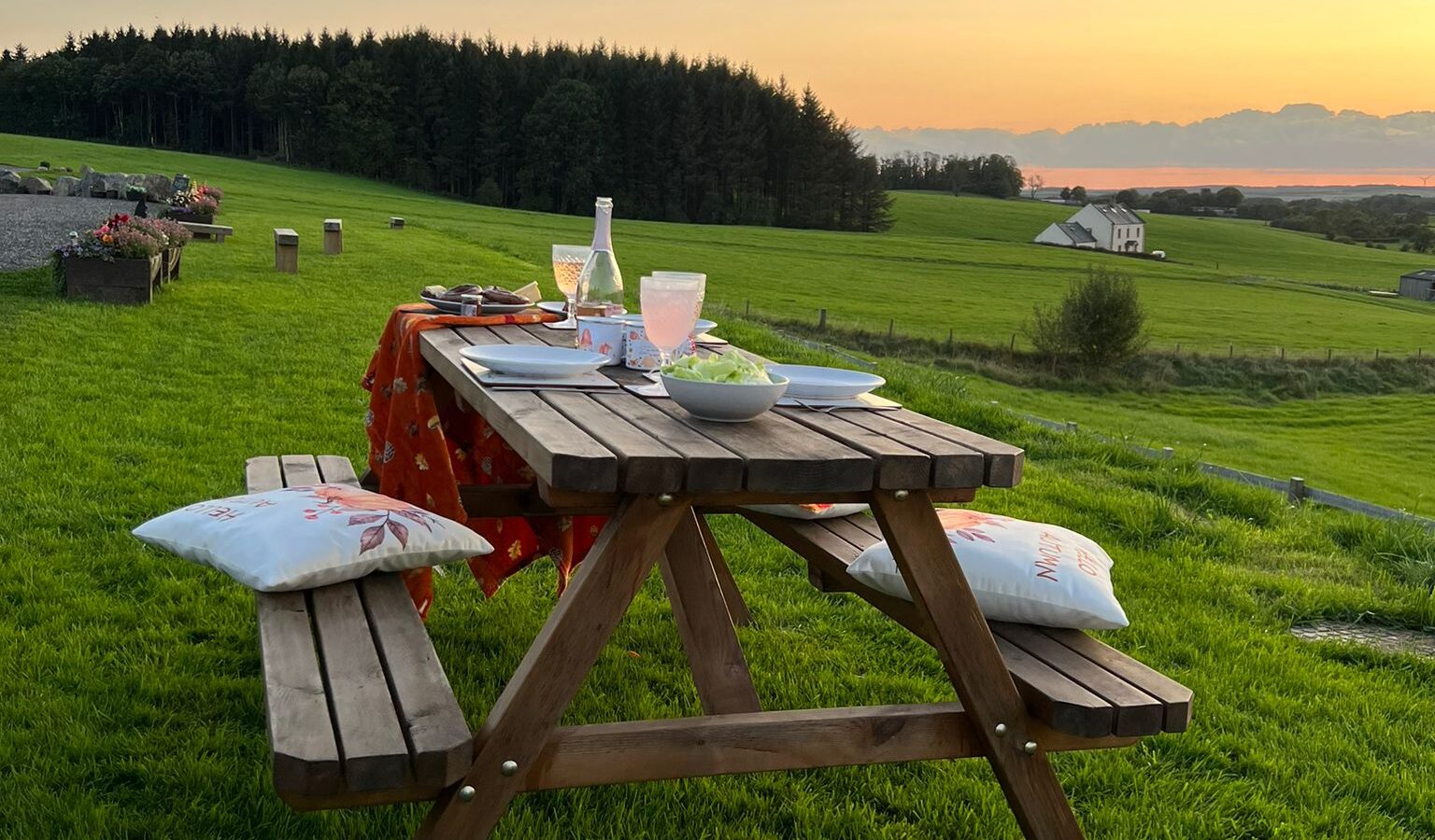 A picnic table is set with food and drinks on a green grassy field at Castle Guards Farm during sunset. The table is adorned with a red tablecloth, and cushions are placed on the benches. A golden dog sits attentively in the foreground, with rolling hills and trees visible in the background, perfect for a retreat.