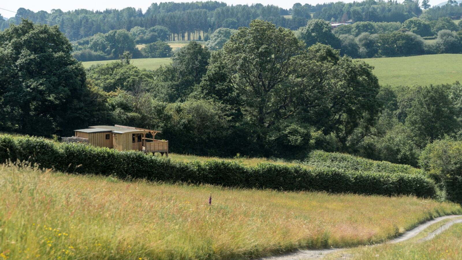 A small wooden cabin, Cobnut Cabin, sits amid lush greenery in a countryside setting. A dirt path winds through the foreground, lined by tall grass and wildflowers. Dense trees and rolling hills fill the background, creating a serene and natural landscape perfect for a Ritty Retreats getaway.