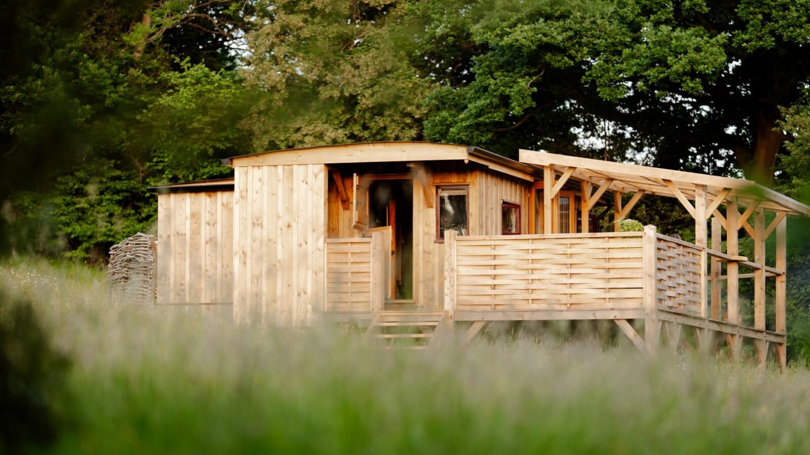 A small, wooden Cobnut Cabin stands in a lush, green meadow. It features a covered porch with a wooden railing and is partially surrounded by tall grass. Trees with dense foliage form the backdrop, creating a serene, nature-filled setting perfect for a cabin retreat.