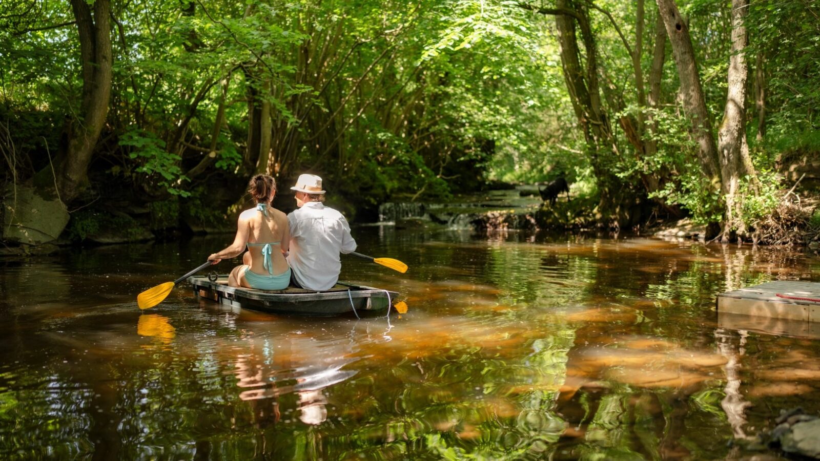 A young couple paddles in a small canoe through a serene, shallow river surrounded by lush, green trees on a sunny day near their Cobnut Cabin. The woman wears a light blue top and the man a white hat. Sunlight filters through the foliage, casting dappled light on the water.