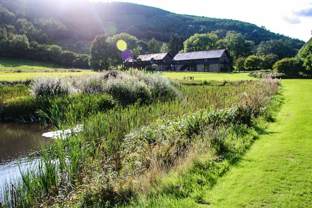 A picturesque countryside scene features a grassy field with a pond in the foreground, surrounded by tall grasses and bushes. In the background, two stone houses with dark roofs, reminiscent of Cwm Chwefru Cottages, are nestled among trees and rolling hills under a partly cloudy sky.