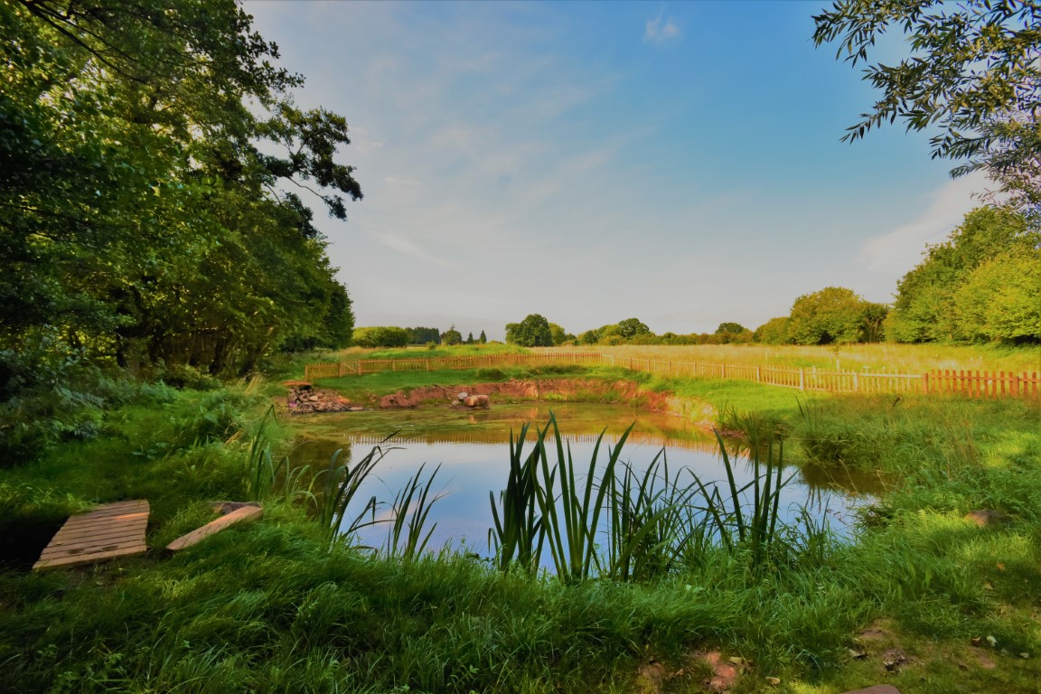 Medley Meadow Safari Tents