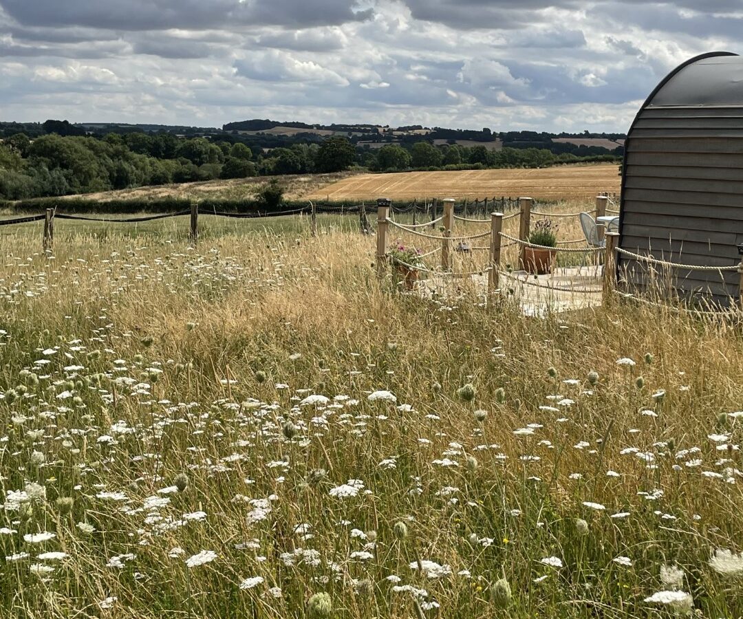 Sleep Wild Cabins