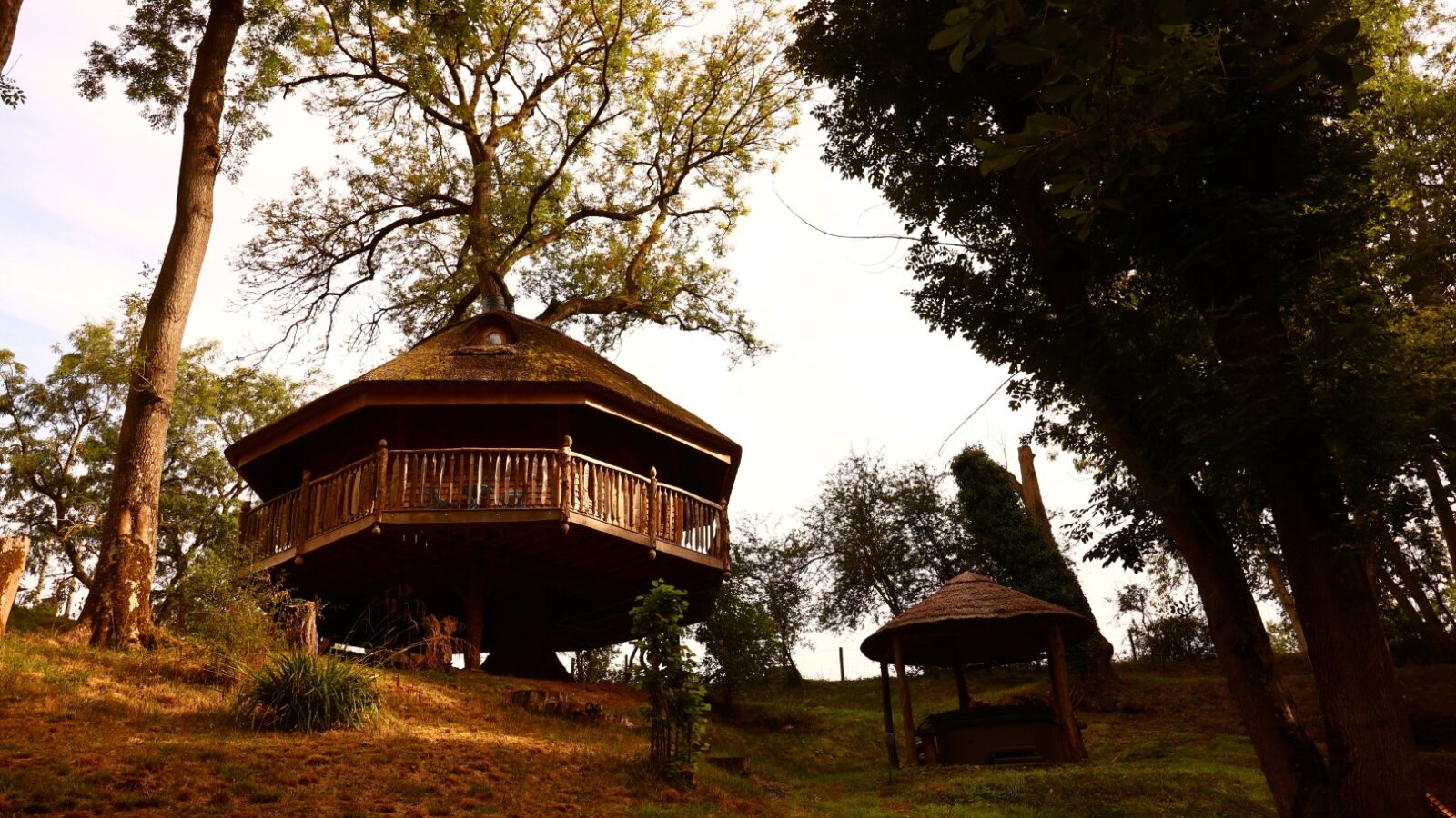 A wooden treehouse with a thatched roof is nestled among tall trees on a sloped hill in Treeopia. Below it is a small gazebo with a similar thatched roof, surrounded by nature and shaded by the dense foliage. The sky is lightly overcast, casting a serene ambiance over the scene.