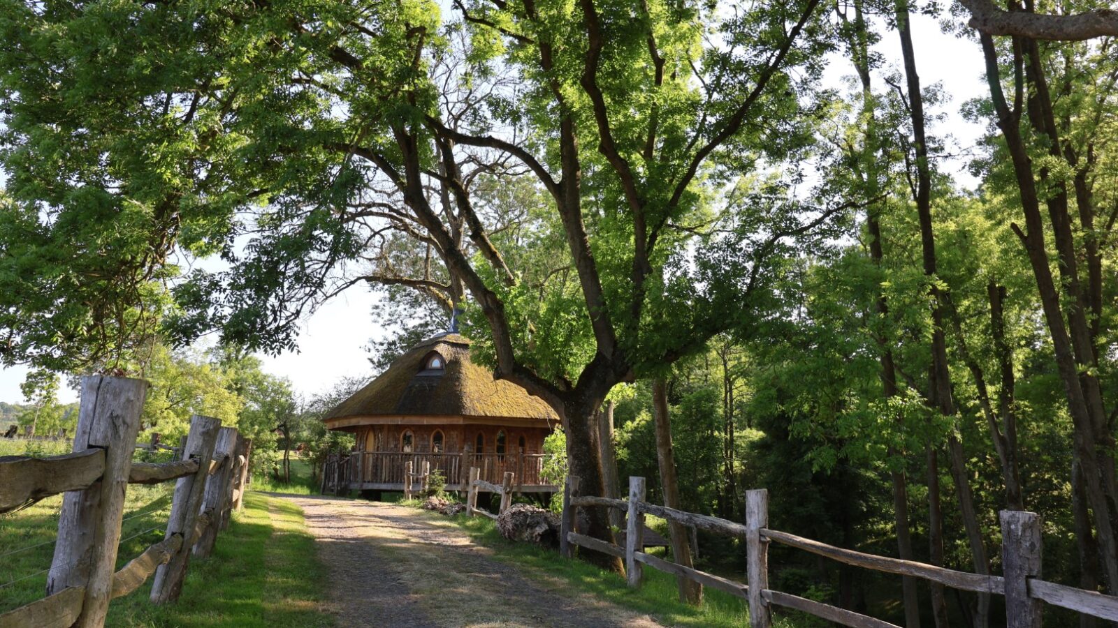 A charming, circular wooden house with a thatched roof sits nestled among the tall, lush green trees of Treeopia. A rustic dirt path, flanked by a weathered wooden fence, leads to the house, inviting visitors to explore the serene forest setting. Sunlight filters through the foliage.