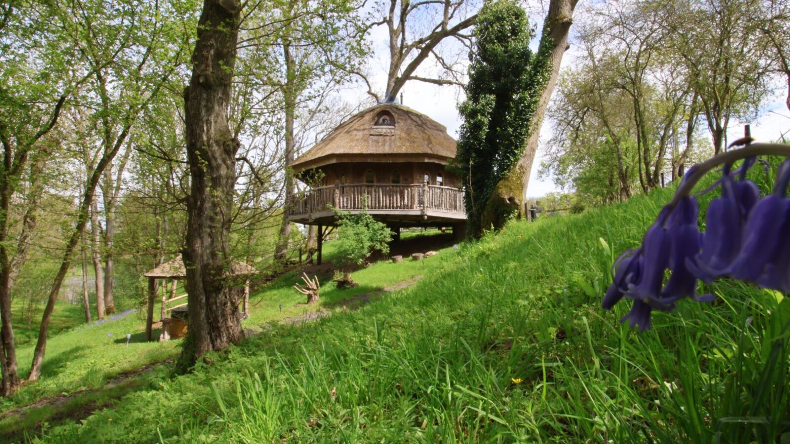 The Treeopia treehouse, with its wooden design and thatched roof, is nestled among tall trees on a lush green hillside. It features a wraparound deck overlooking blooming purple flowers in the foreground. Below the treehouse stands another wooden structure, with bright sunlight filtering through the trees.