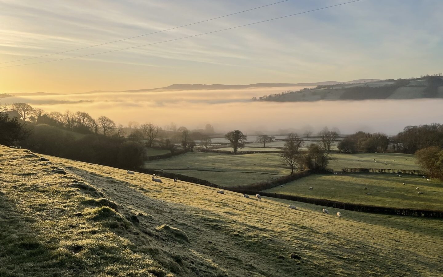 A serene landscape near Erwain shows a grassy field with sheep grazing in the foreground, gently rolling hills, and a layer of fog enveloping the valley in the middle ground. A cozy cabin peeks through the trees. The sky is clear with a soft, golden light from sunrise, illuminating distant hills.