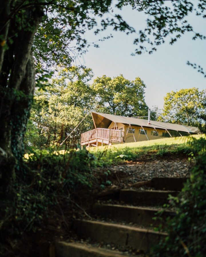 A tall tent with a wooden deck is nestled in the lush, forested area of Exe Valley Glamping. Sunlight filters through the trees, highlighting the foliage. Stone steps lead up to the tent, framed by branches and leaves in the foreground.