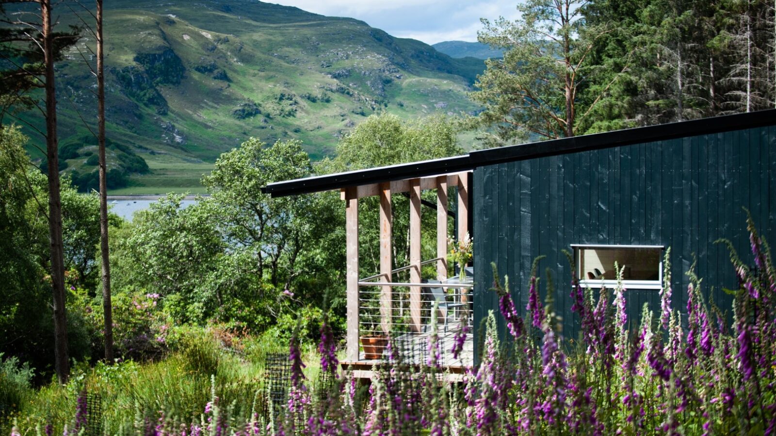 Ecotone Cabins