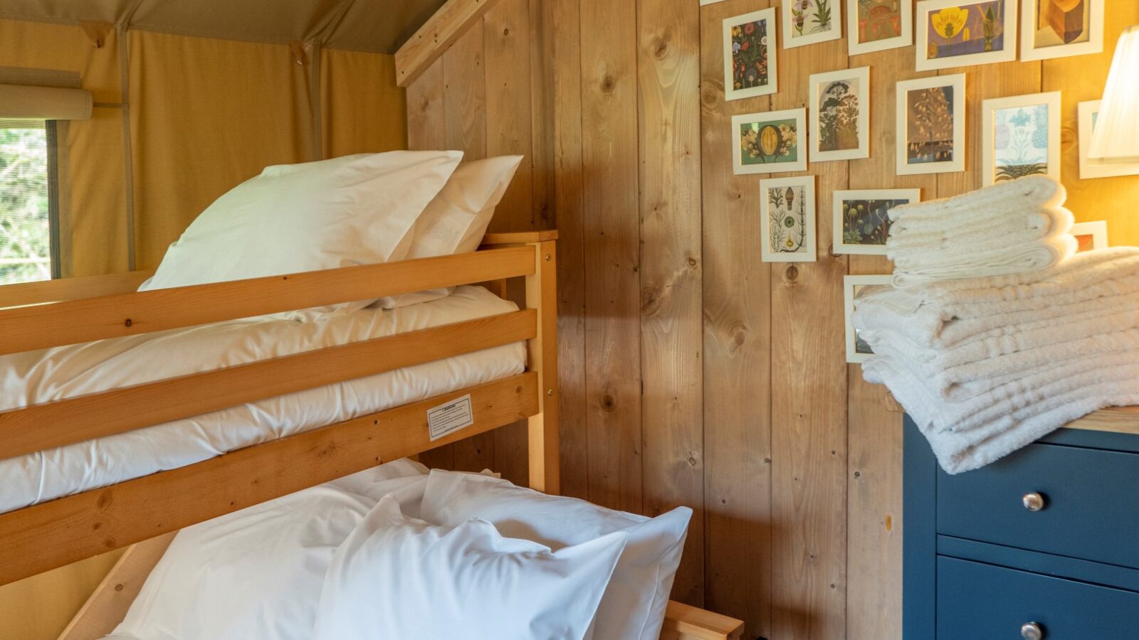 A cozy wooden cabin interior perfect for glamping at Hadspen, featuring a bunk bed with white pillows and sheets. A corner shows a chest of drawers with neatly folded towels. The wall is decorated with several botanical art prints and warmly lit by a lamp.