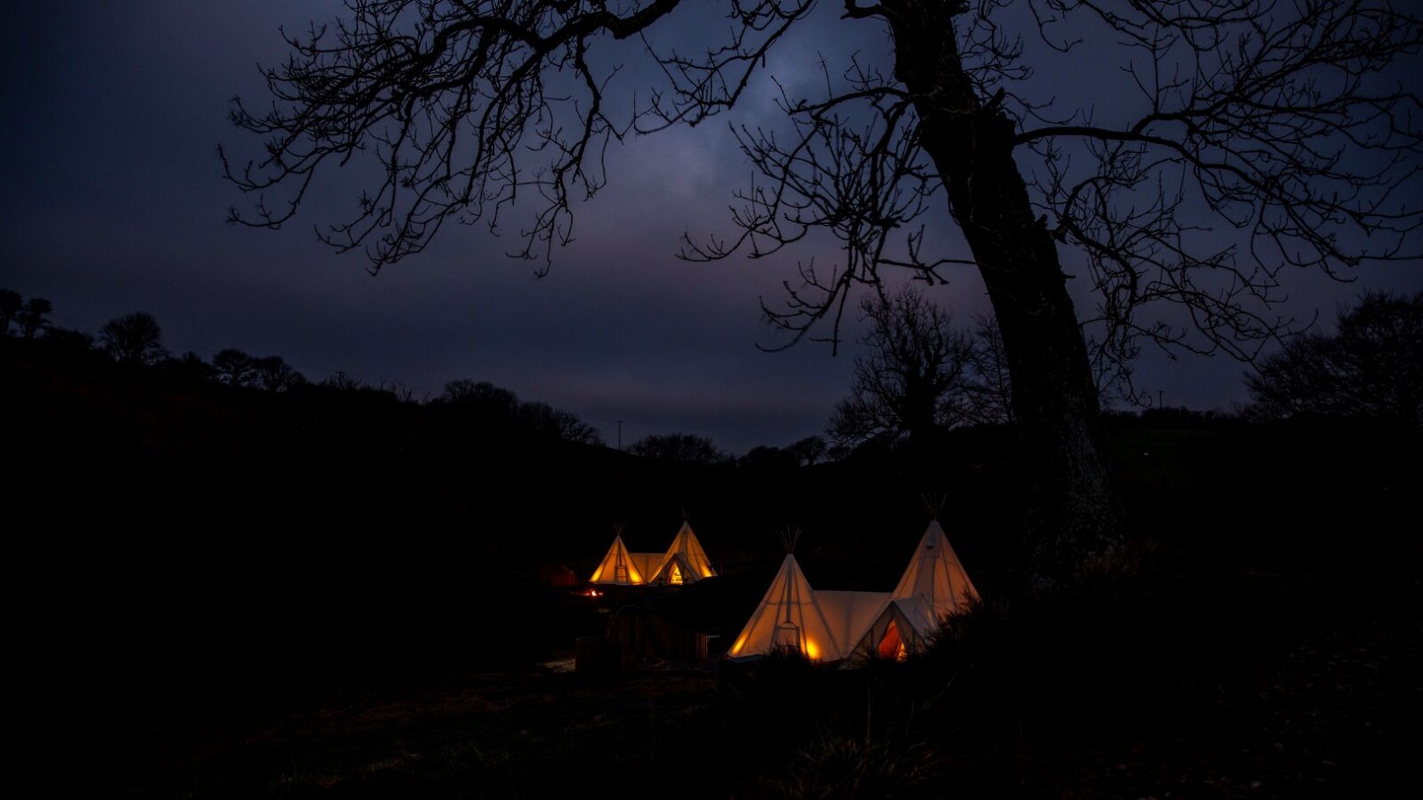 A nighttime scene featuring three illuminated teepees in a dark, wooded area creates a serene retreat. A large, leafless tree stands in the foreground, silhouetted against the night sky, adding to the HARTA of this tranquil escape.