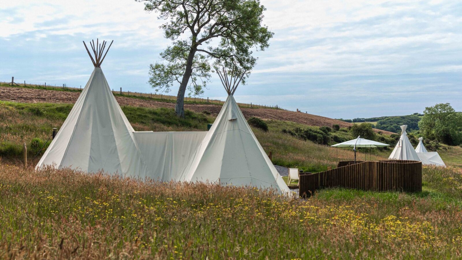 A serene field with two white canvas tipis set up next to a tall tree. The tipis are surrounded by wild grasses and colorful wildflowers. A wooden deck with an umbrella and seating area is alongside one of the tipis, creating a restful HARTA retreat atmosphere.