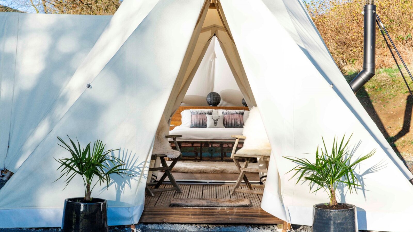 A cozy glamping tent at the HARTA retreat features an open flap entrance with two potted palm plants flanking it. Inside, there's a wooden bench with cushioned seating, a neatly folded blanket, pillows, and a small decorative object on a center table. The sunny outdoor setting completes the tranquil ambiance.