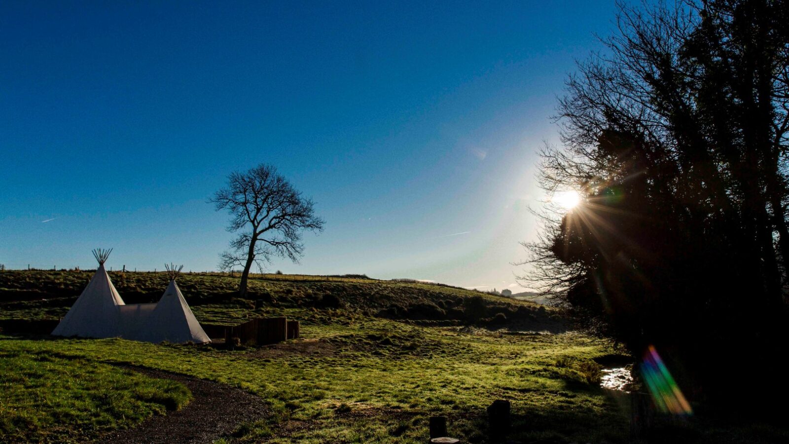 A scenic landscape features two white teepees on a lush grassy field, perfect for a HARTA retreat. A lone tree stands nearby, and a bright sun shines behind tall trees on the right, casting a warm glow over the scene. A dirt path winds through the grass under a clear blue sky.