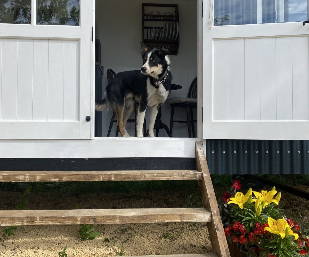 Drift View Shepherds Hut