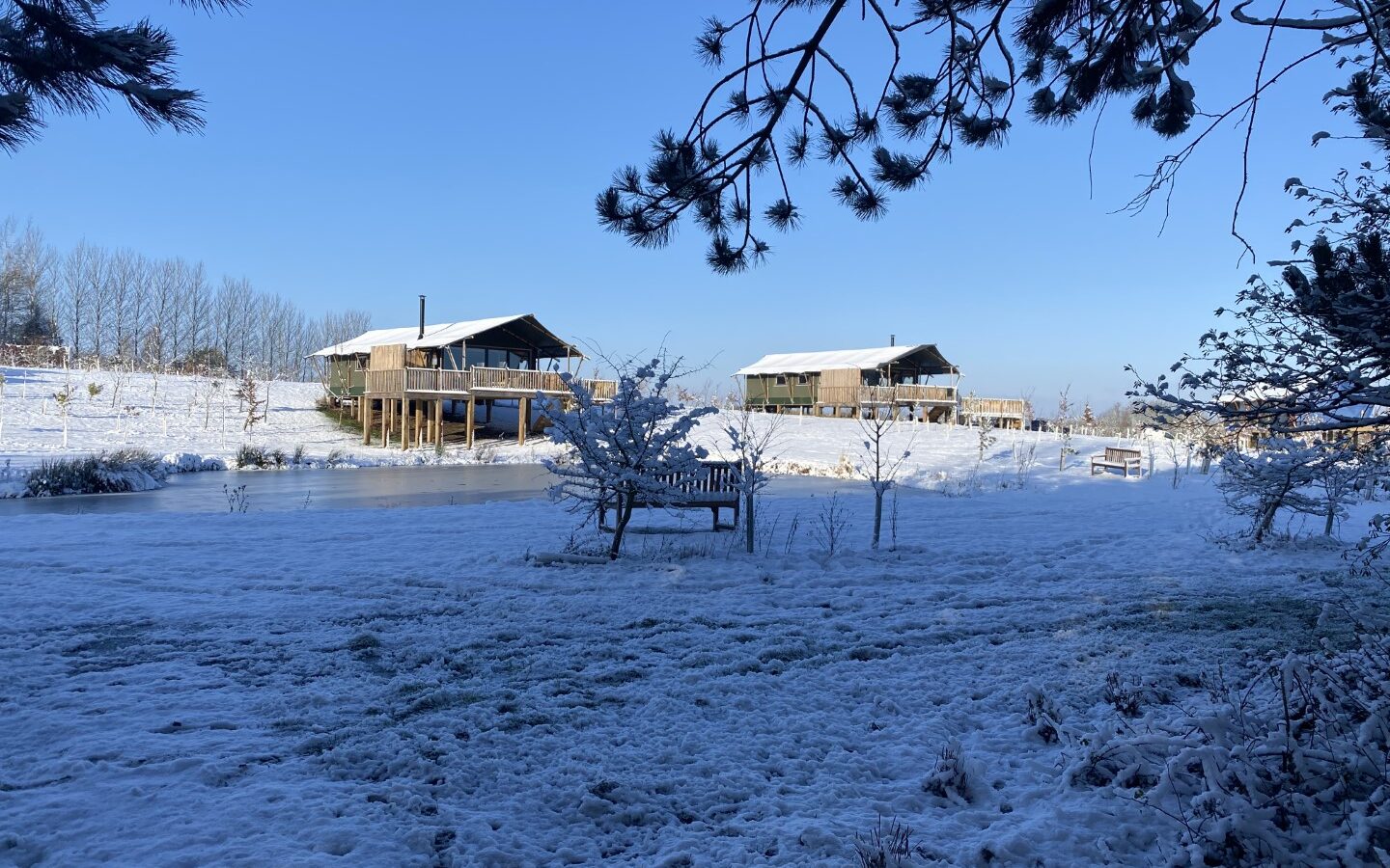 Birdholme Glamping