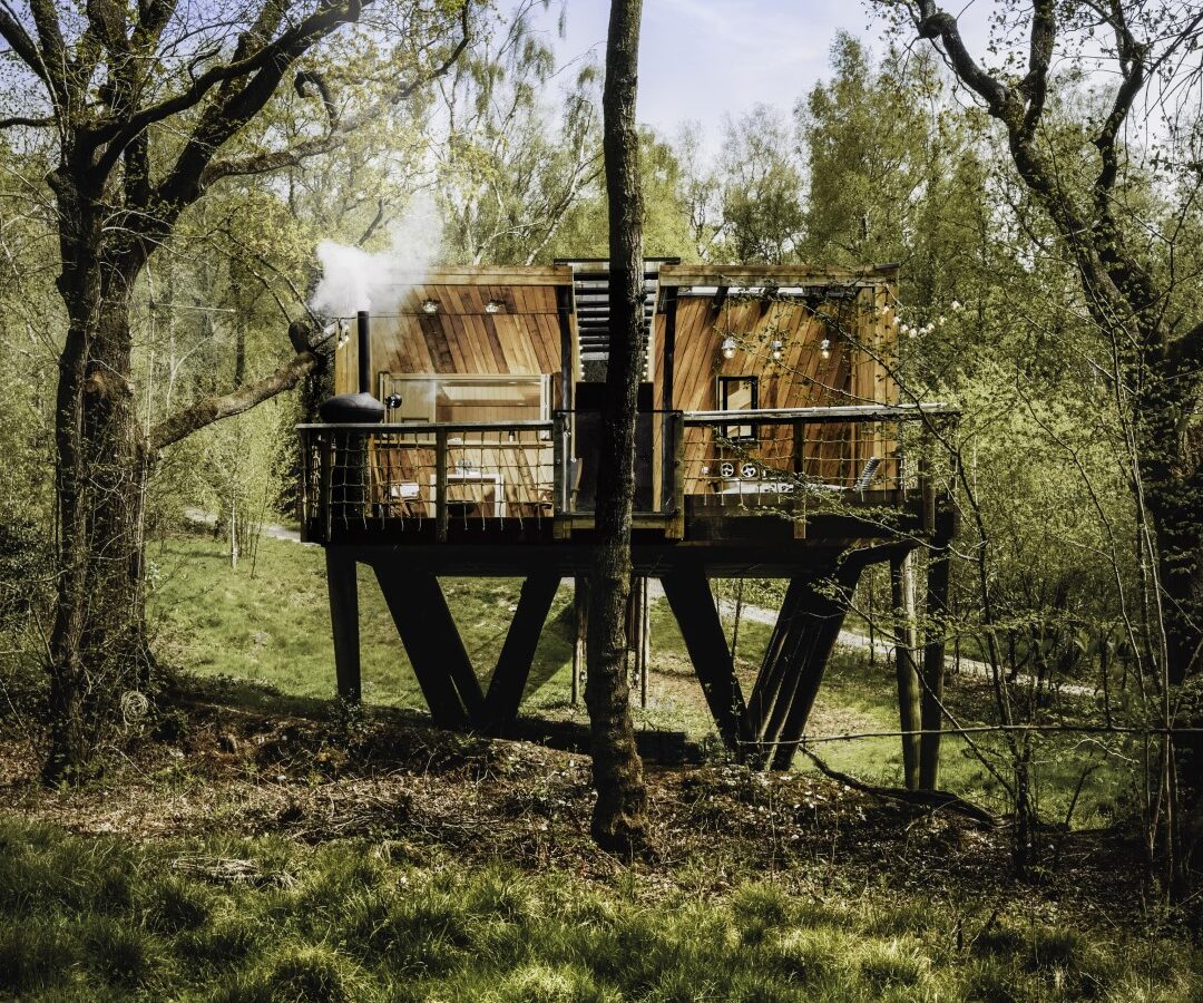 Dazzle Treehouse