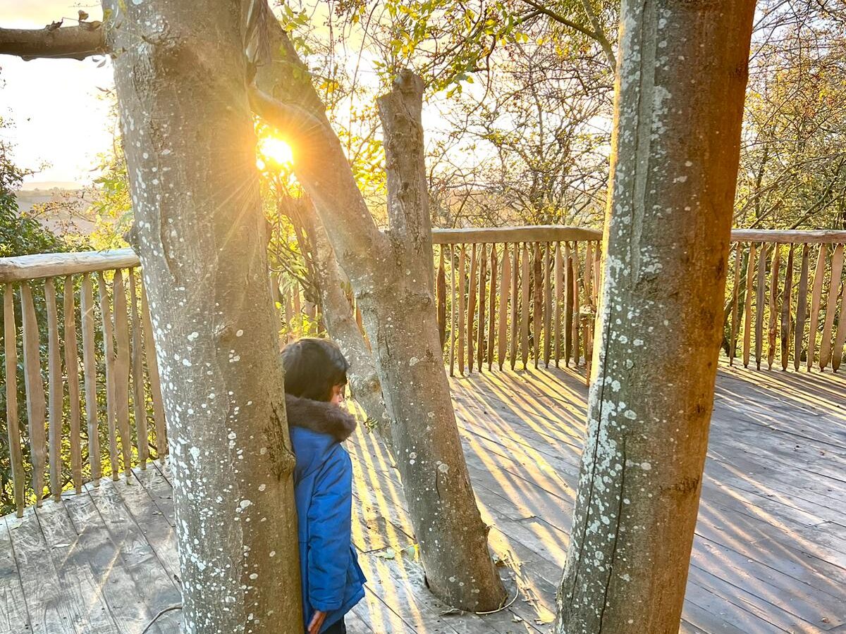 A child in a blue jacket stands among large tree trunks on a wooden deck, gazing towards the setting sun in One Acre Wood. The sunlight streams through the branches, creating a serene and peaceful atmosphere amidst the surrounding autumn foliage.