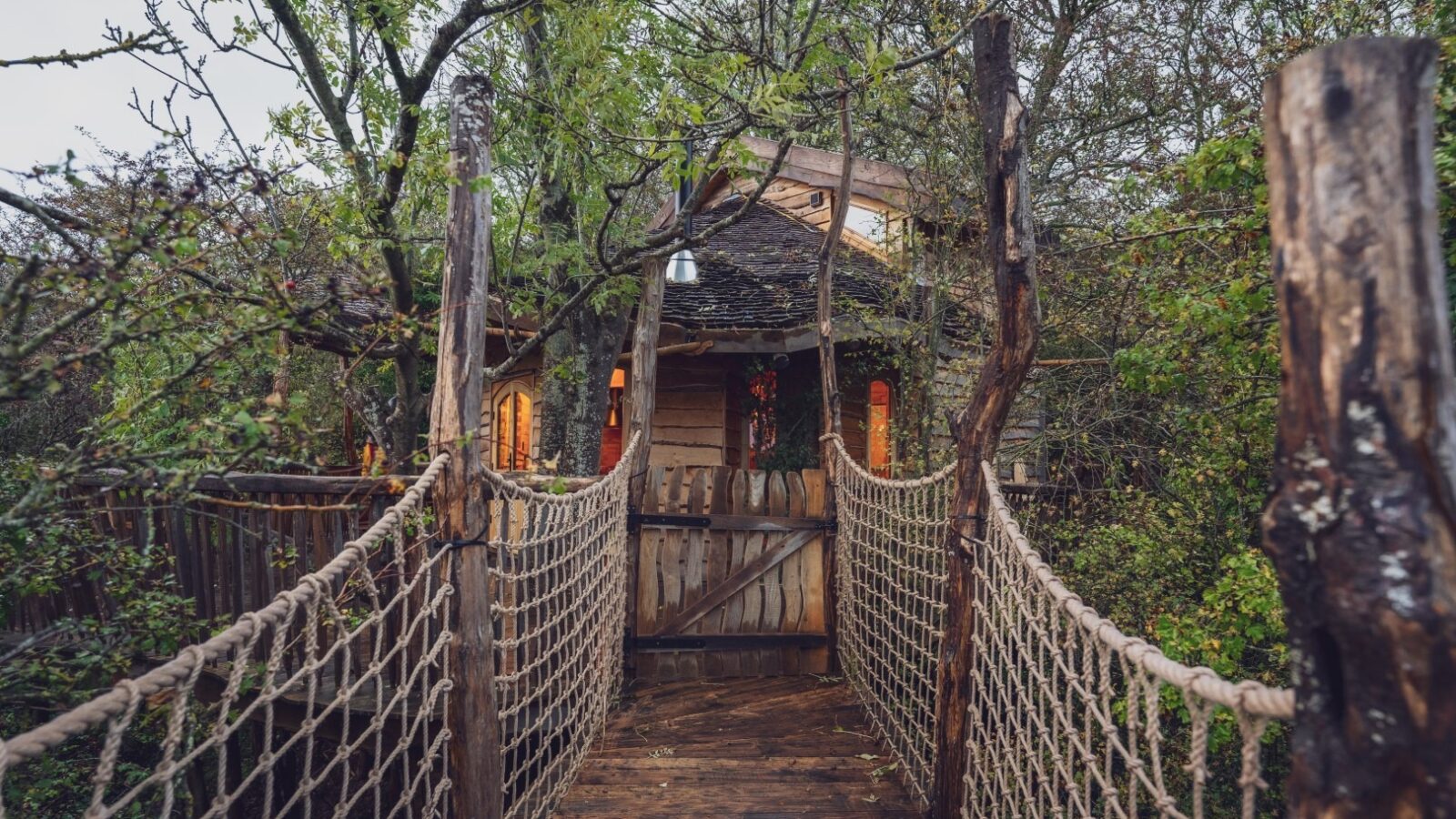 A rustic wooden treehouse nestled among the dense greenery of One Acre Wood is accessed via a swinging rope bridge. The treehouse features warm, inviting lights glowing from within, creating a cozy atmosphere. Trees and foliage surround the structure, enhancing the natural ambiance.