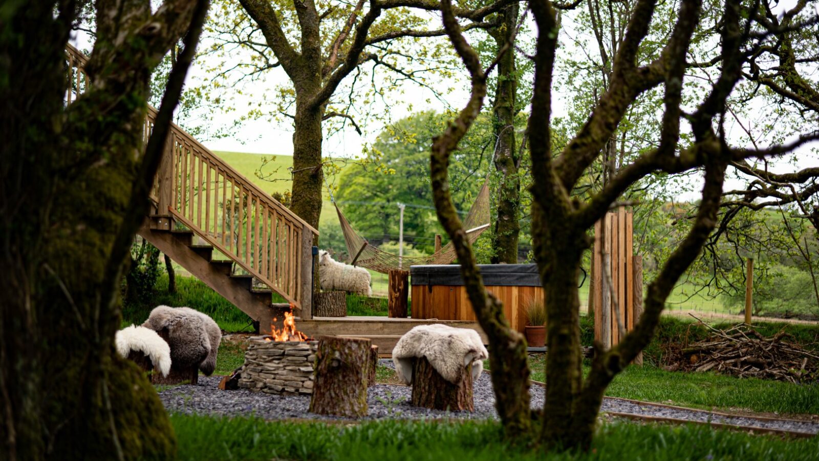 Wild Welsh Treehouses