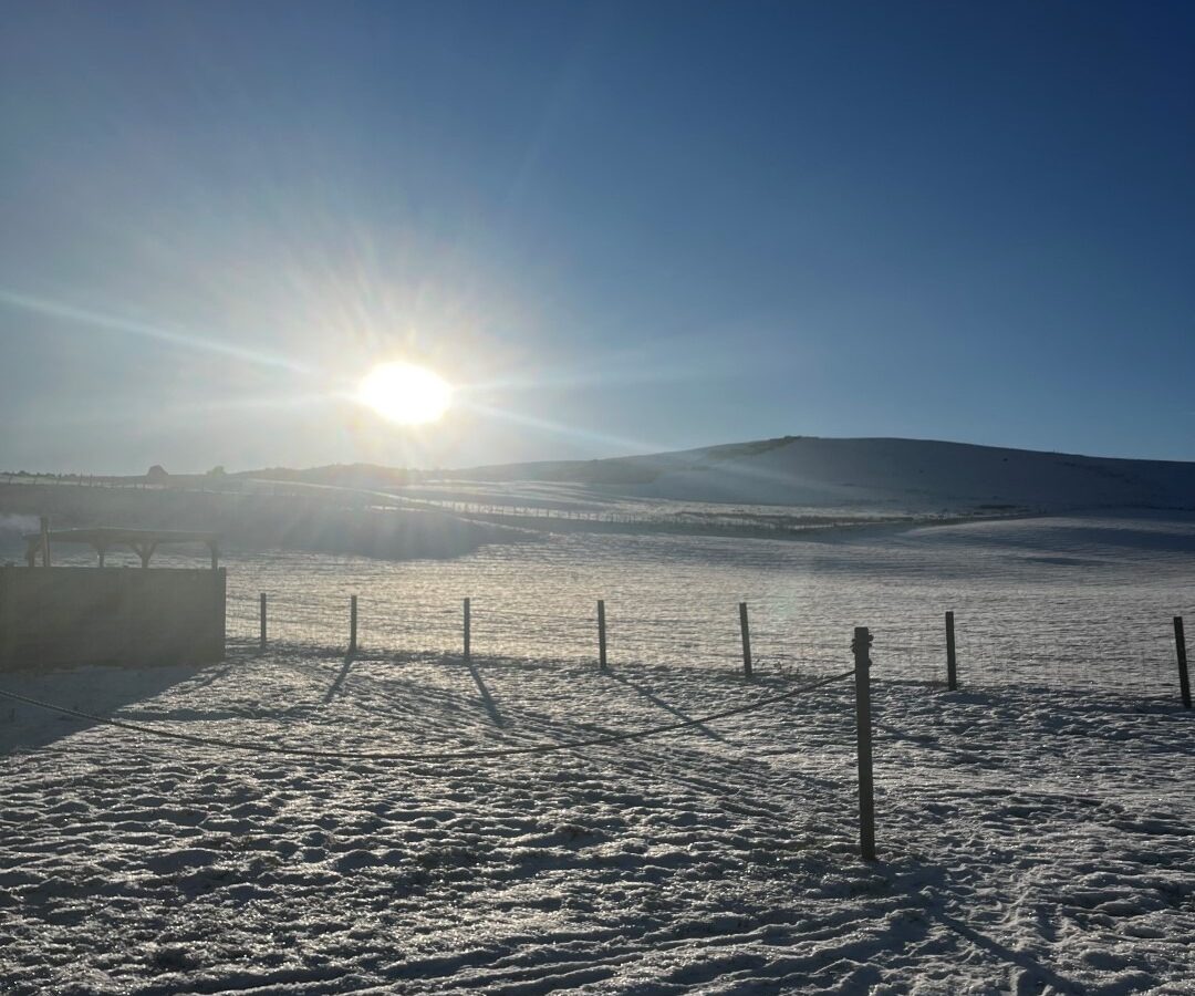 A bright sun shines over a snowy landscape with a clear blue sky. Shadows of a fence and posts stretch across the snowy ground. Rolling hills, perfect for Pathgreen glamping, are visible in the background, completing the tranquil winter scene.