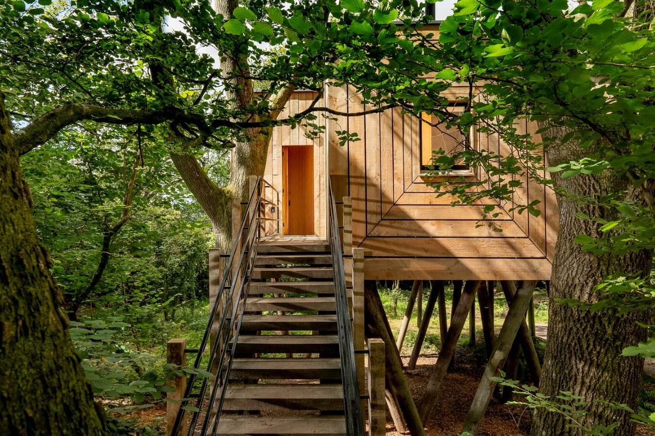 The Pinwheel Treehouse, a wooden treehouse with a modern design, is nestled among dense, leafy trees. Elevated on stilts and accessible by a staircase leading to an open door, it invites sunlight to filter through the branches, casting dappled shadows on the unique accommodation and surrounding greenery.