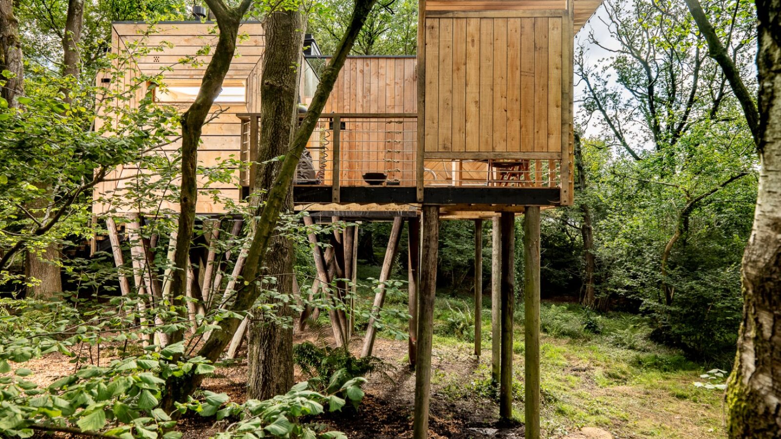 A wooden treehouse stands elevated among tall trees in a lush forest. The structure features large windows, a balcony with railings, and is supported by long stilts. A colorful pinwheel spins gently in the breeze as sunlight filters through the dense foliage, illuminating the serene natural surroundings.