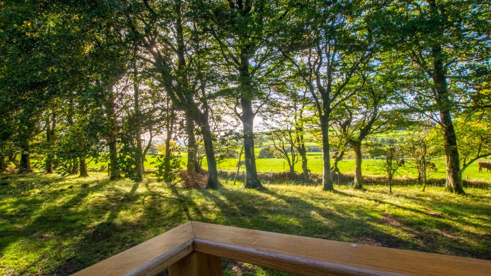 Porth Eryri Glamping