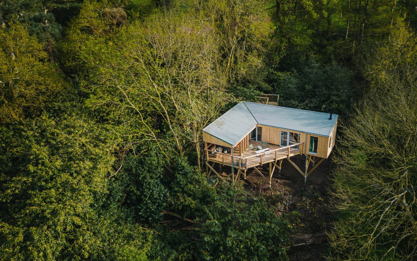 A wooden cabin with a tin roof is nestled among dense green trees. Elevated on stilts much like modern treehouses, it features a spacious deck. Sunlight illuminates part of the deck, giving the scene a tranquil and secluded feel, perfect for those looking to rewild things in nature's embrace.