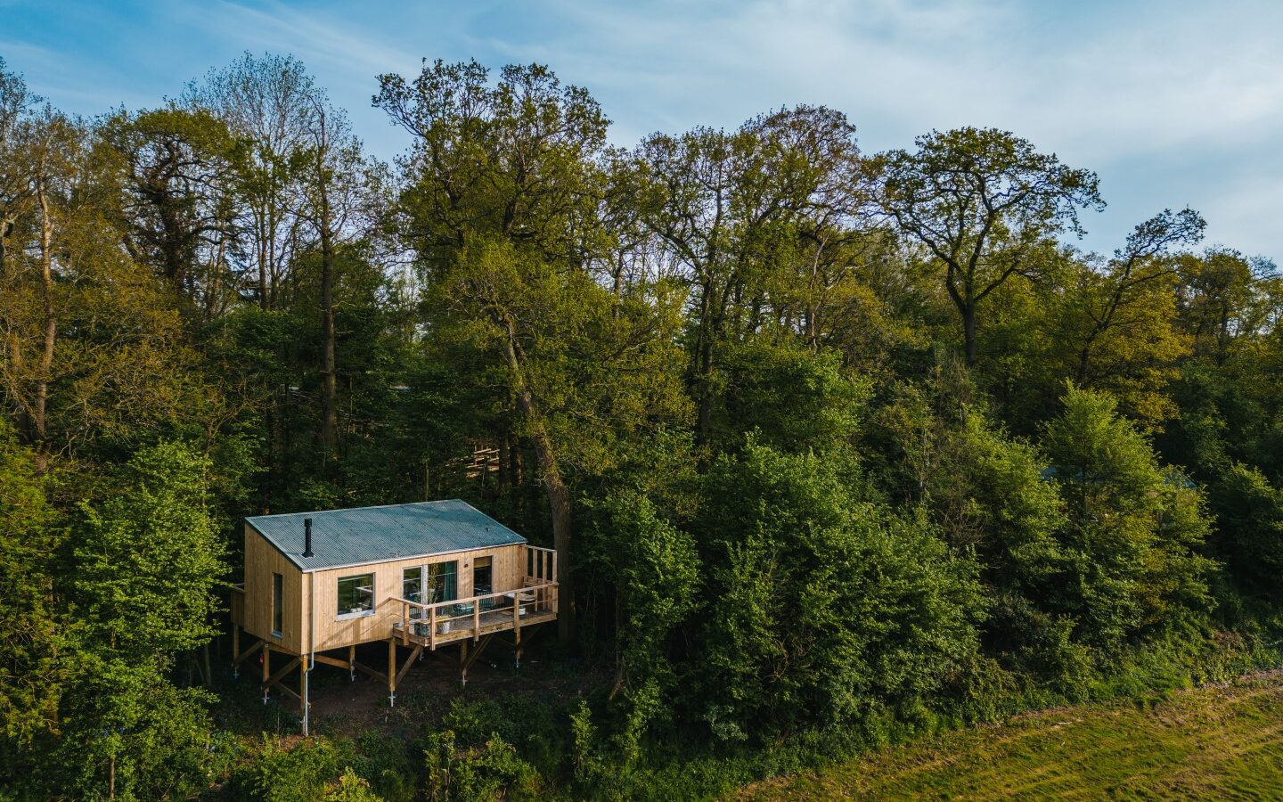 A small wooden cabin on stilts nestled among tall trees in a forest. Reminiscent of charming treehouses, the cabin features a balcony with a simple railing and large windows, offering views of the lush greenery surrounding it. The sky is clear with some light clouds, perfect for those seeking to rewild things.